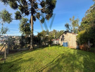 Terreno Urbano para Venda, em Carlos Barbosa, bairro Triangulo