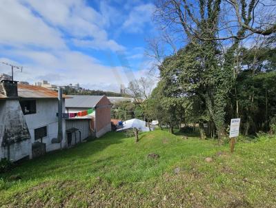 Terreno para Venda, em Bento Gonçalves, bairro Cidade Alta