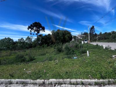 Terreno para Venda, em Bento Gonçalves, bairro São Roque