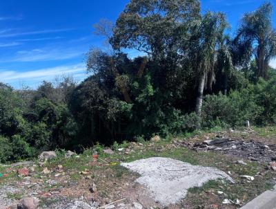 Terreno para Venda, em Bento Gonçalves, bairro São Roque
