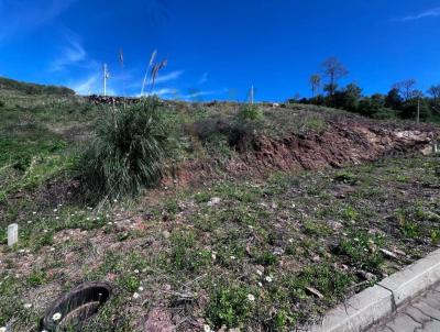 Terreno para Venda, em Bento Gonçalves, bairro São Roque