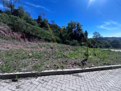 Terreno para Venda, em Bento Gonçalves, bairro São Roque