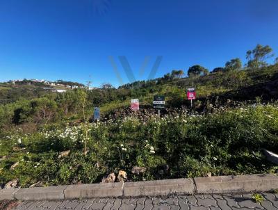 Terreno para Venda, em Bento Gonçalves, bairro São Roque